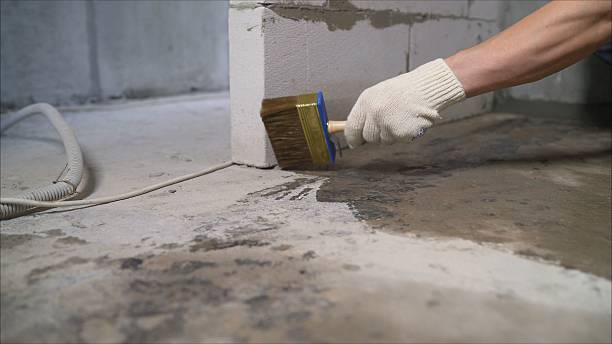 SJ Waterproofing Pros Basement Waterproofing coverage map for Alamo, IN and surrounding area